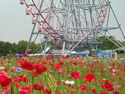 ぱどナビ 東京23区版 お店検索 イベント情報満載の地域生活情報サイト